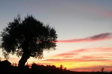 Photo 34