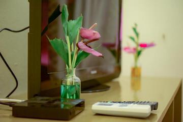 Photo 22
