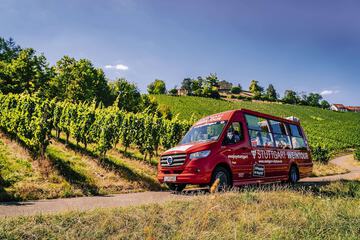 Vineyard