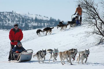 Sledding