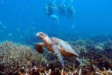 Photo 20