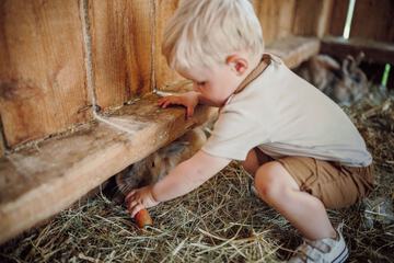 Children's activities