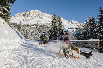 Sledding