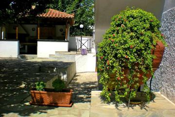 Photo 50