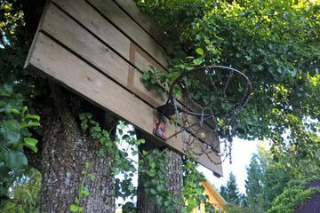 Photo 29