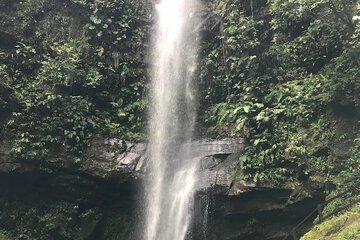 Ecotours