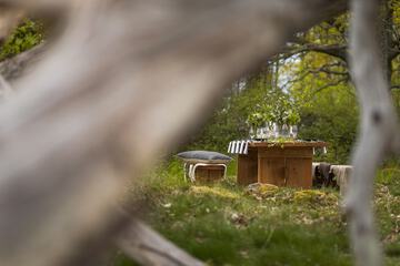 BBQ/picnic area