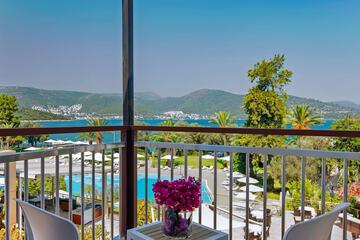 View from room