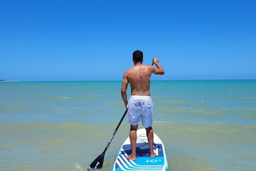 Surfing/boogie boarding