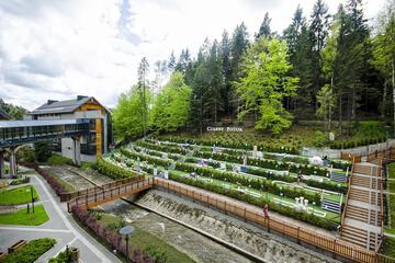 Mini-golf