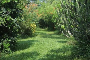 Photo 34