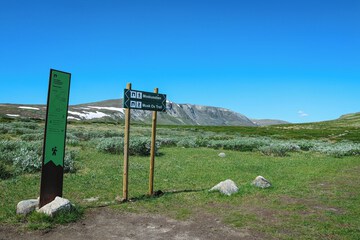 Hiking