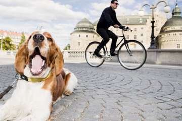 Bicycling