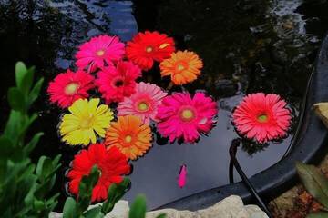 Hotel Exterior 84 of 87