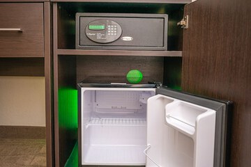 Mini-refrigerator