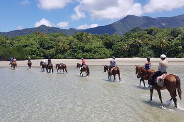 Horseback riding