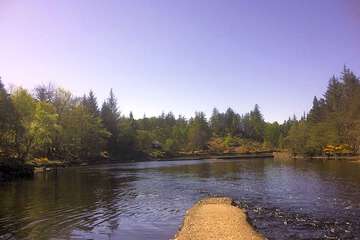 Photo 32