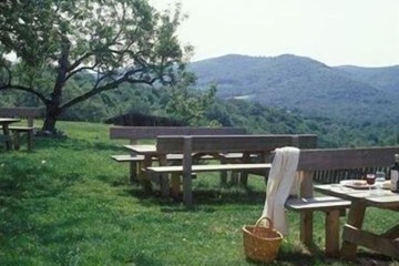BBQ/picnic area