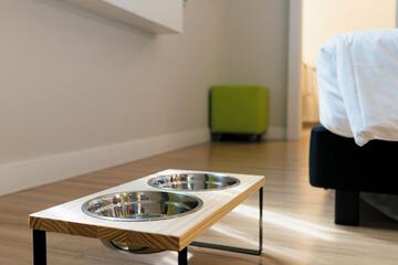 Pet-friendly amenities