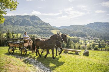 Horseback riding