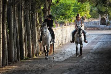 Horseback riding