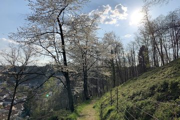 Hiking
