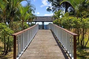Outdoor wedding area