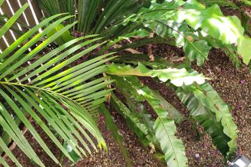 Photo 30