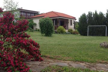 Photo 31