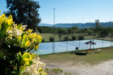 Tennis court