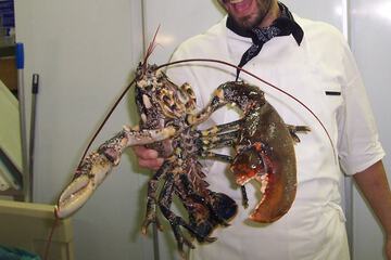 Featured