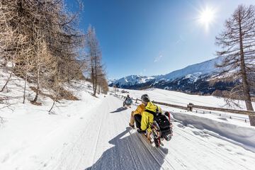 Sledding