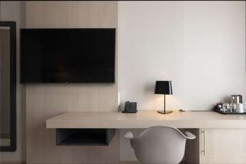 Television