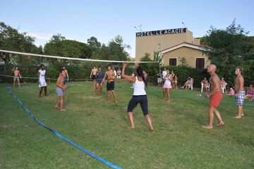 Sport court