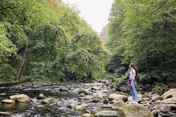Hiking