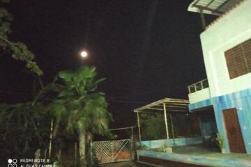 Photo 56