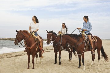 Horseback riding