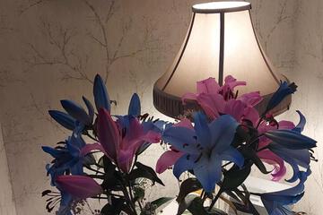 Photo 54