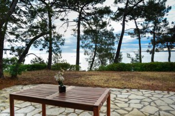 Terrace or Patio