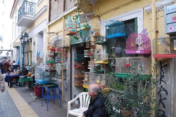 Photo 24