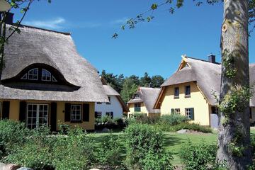 Courtyard view