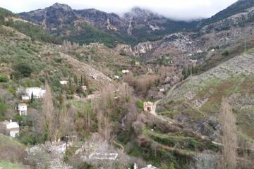 Photo 45