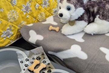 Pet-friendly amenities