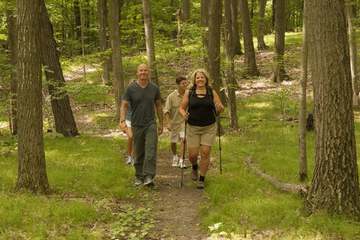 Property Grounds 35 of 35