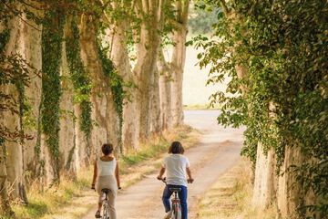 Bicycling