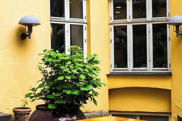 Courtyard