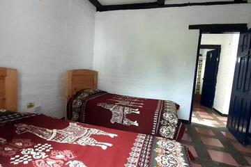 Photo 49