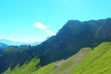 Hiking
