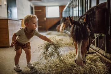 Horseback riding