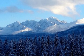 Mountain view